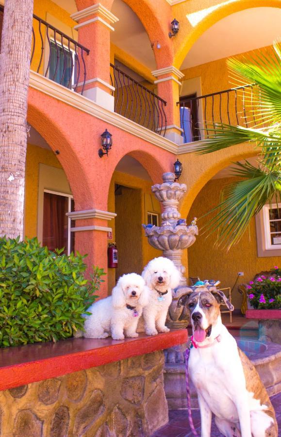 Hotel Angra Loreto  Dış mekan fotoğraf